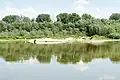 Flussinsel Walfisch