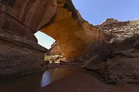 Natural Bridges