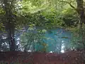 Der Kainspring