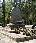 Piłsudski-Stein