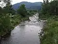 Gebirgsfluss Kamienna
