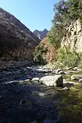 Der Kings River im Kings Canyon