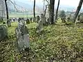 jüdischer Friedhof