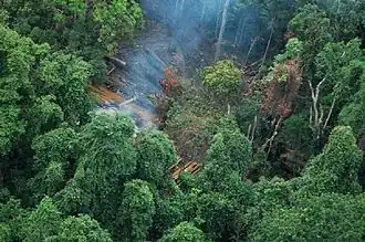Provinz Koh Kong