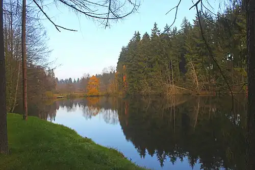 Der Spiegelteich