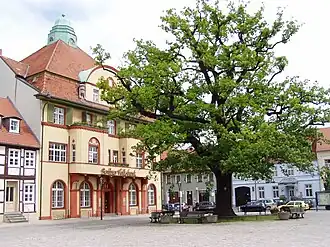 Friedenseiche in Kyritz