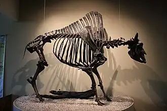 La Brea Tar Pits