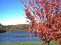Lake Galena / Illinois