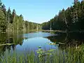 Laughlin Lake auf Galiano Island (Gulf-Islands-Nationalpark)