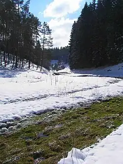 Das Leinleitertal