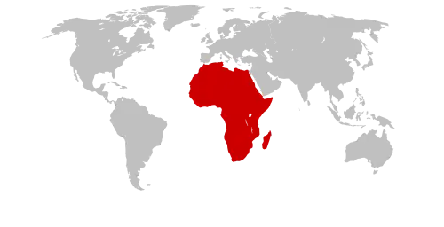 Lage Afrikas