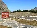 Der Logan Pass