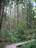 Wanderweg