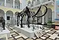 Geologisches Museum