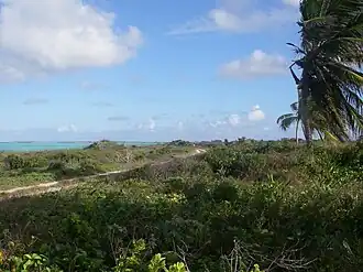 Mayaguana