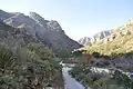 Der McKittrick Canyon Trail