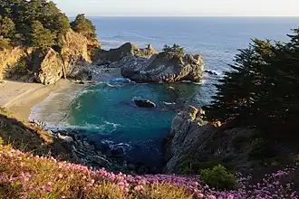 McWay Cove