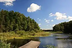 Topiło-See (Belarus)