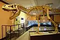 Evolutionsmuseum