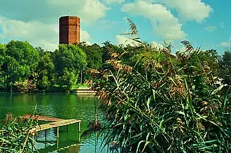 Mäuseturm vom See