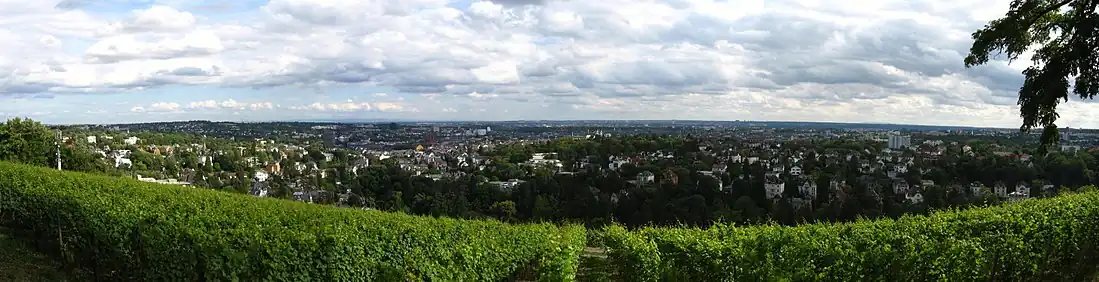 Blick von der Löwenterrasseam Neroberg auf Wiesbaden