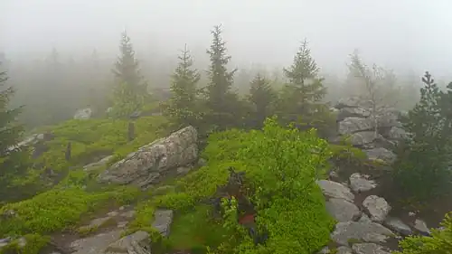 Auf dem Ochsenkopf bei Nebel