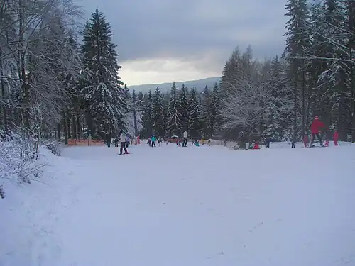 Skiabfahrt am Ochsenkopf