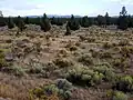 Die Oregon Badlands Wilderness / Oregon