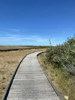 Oye-Plage