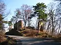 Burgruine Rożnów