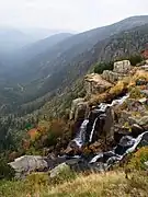 Pantschefall