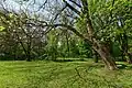 SGGW-Park