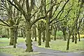 Traugutt-Park
