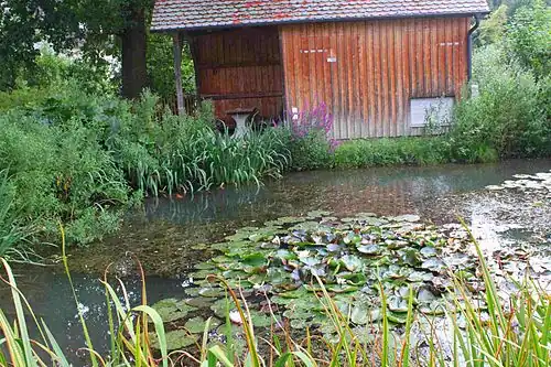 Der Dorfweiher