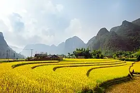 Tuyên-Quang-Provinz