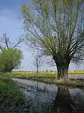 Am Pilgerweg