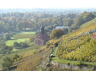 Weinberge und Weinbergkirche bei Pillnitz