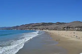 Pismo State Beach