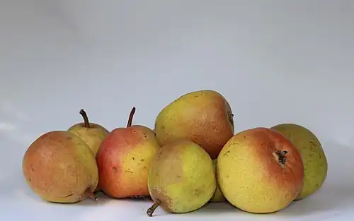 Büschelibirnen (poire à botzi)