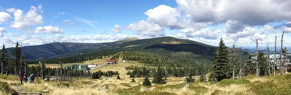 Landschaftlich attraktiv und schon ein bisschen alpin: die Gipfelregion des Riesengebirges, hier am Spindlerpass. Die Baumgrenze liegt im Gebirge bei etwa 1300 m, die Schneekoppe liegt mit 1603 m schon in der Krummholzzone.