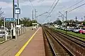 Wesoła