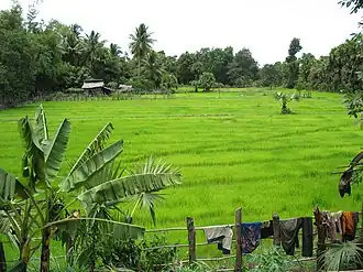 Provinz Pursat