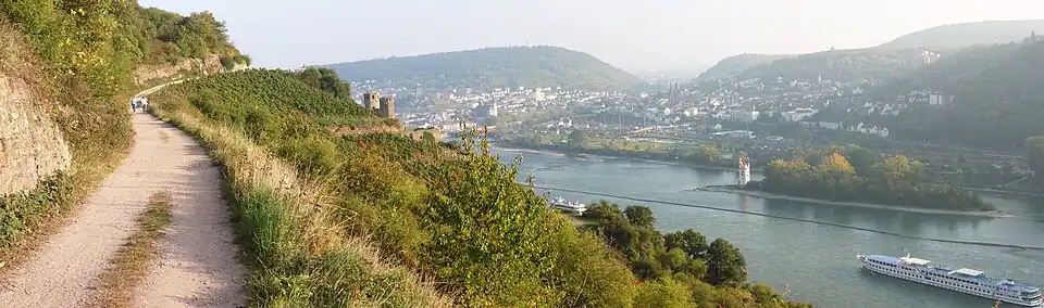 Historienweg zwischen Rüdesheim und Assmannshausen mit Blick auf die Burgruine Ehrenfels und Bingen, rechts auf der Insel steht der Mäuseturm.