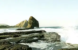 Die Wild Coast, einfach nur unberührte Natur.