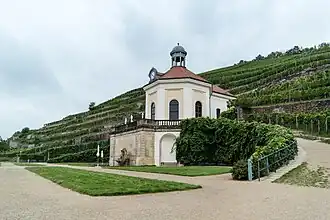 Weinberg von Schloss Wackerbarth