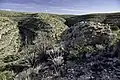 Der Rattlesnake Canyon
