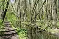 Kawęczyn-Kanal