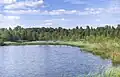 Naturreservat Hyazinth Sümpfe