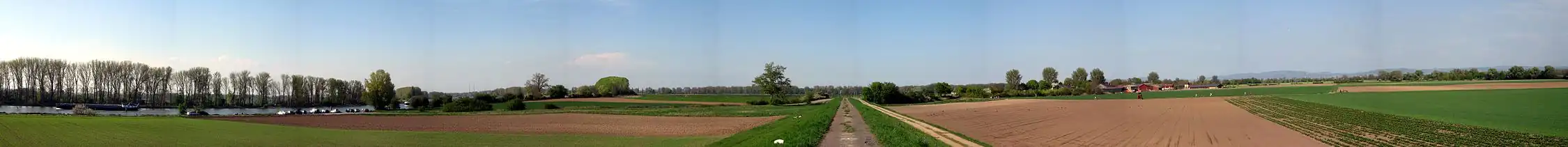 Weit reicht der Blick ins Land auf der Veloroute Rhein zwischen Mannheim und Lampertheim: links liegt der Rhein, rechts ist in der Ferne der Odenwald zu sehen