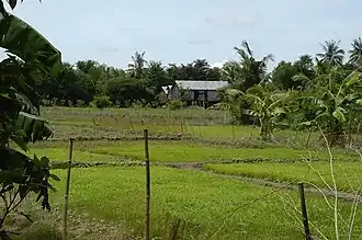 provinz Prey Veng